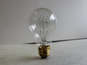 40 Watt Edison Vintage Style Bulb