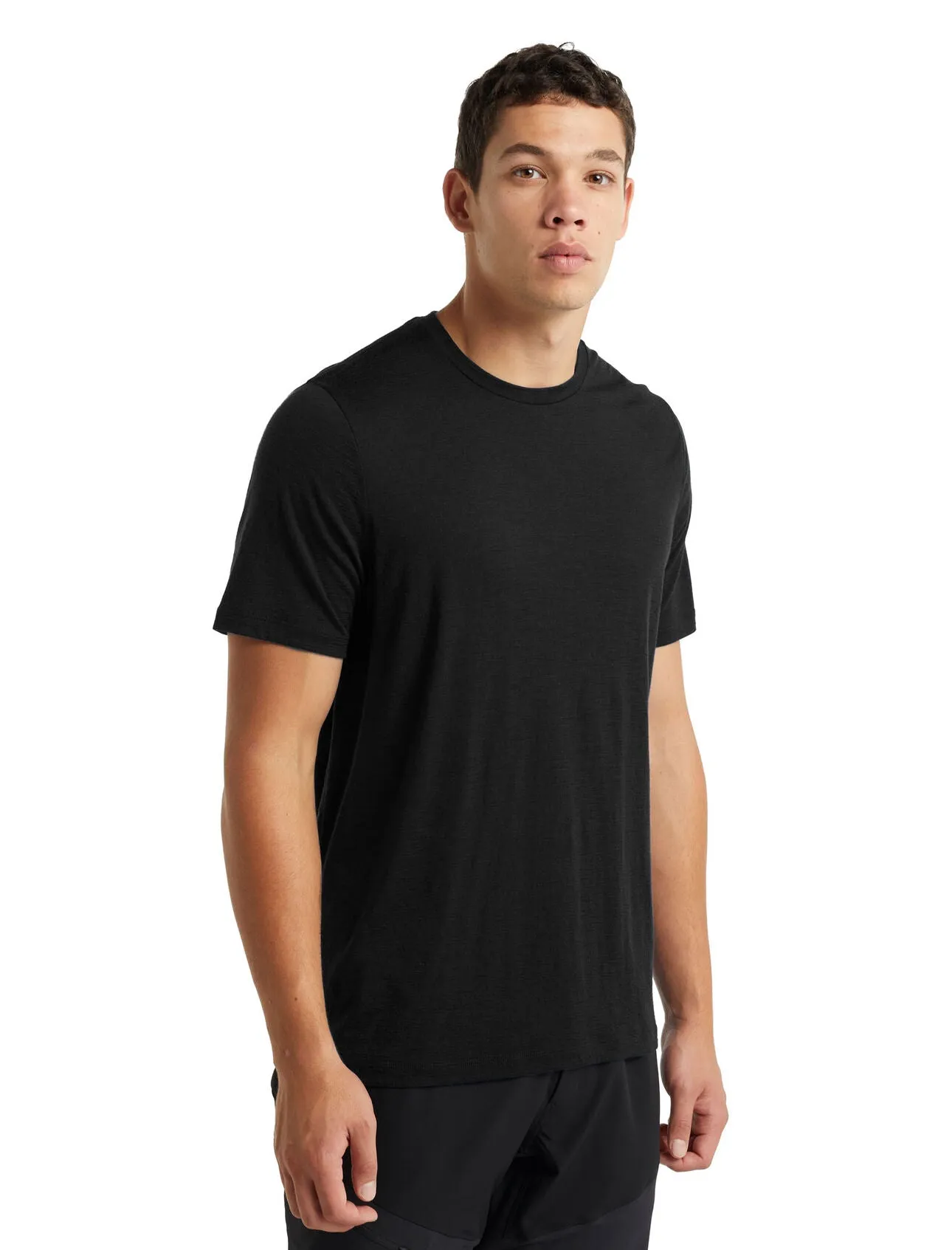 Icebreaker Tech Lite II SS Tee (Men's)